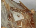 MD112_MSB_14_Wreckage